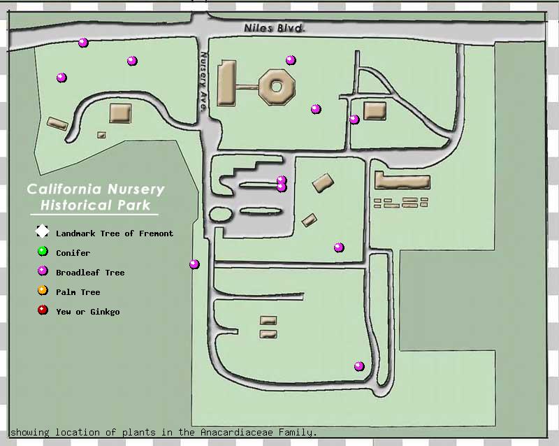 California Nursery Company tree inventory map