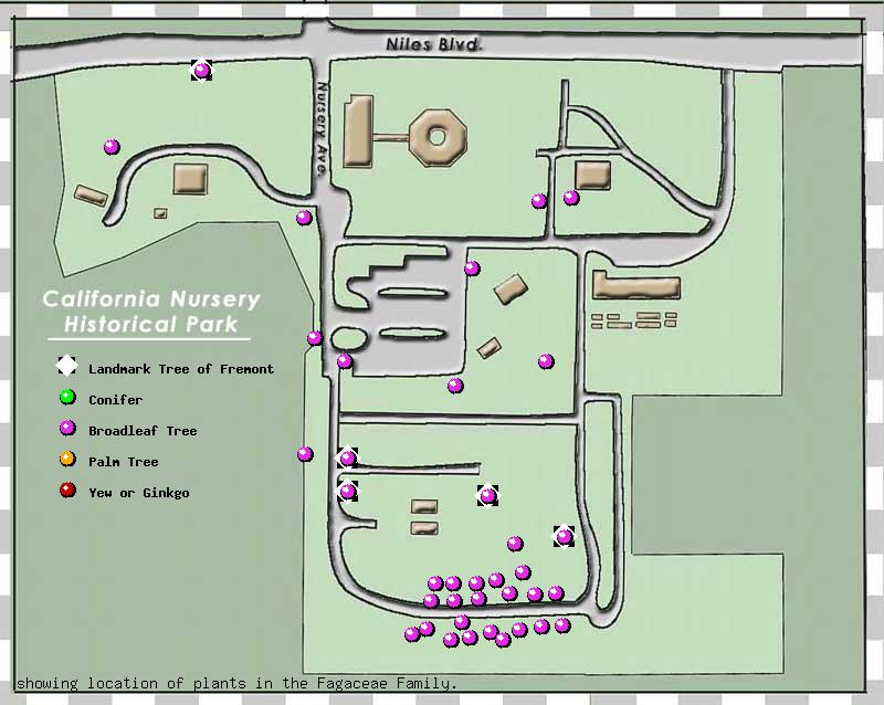 California Nursery Company tree inventory map