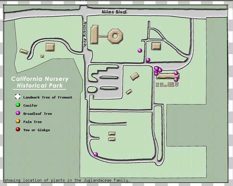 California Nursery Company tree inventory map