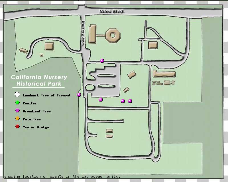 California Nursery Company tree inventory map