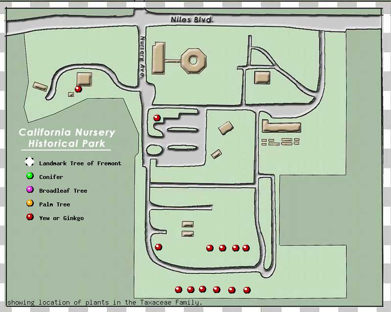 California Nursery Company tree inventory map