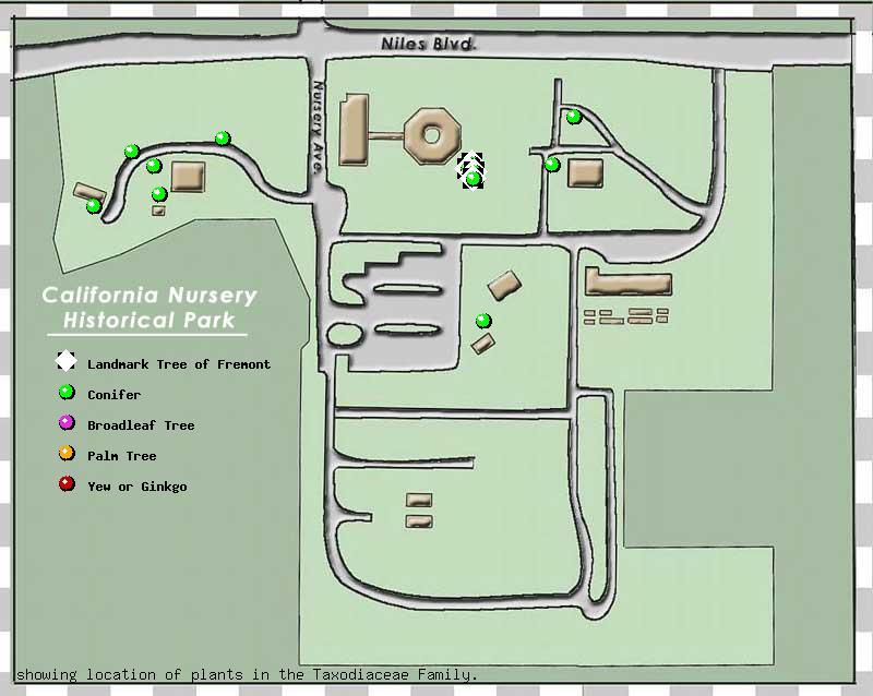 California Nursery Company tree inventory map