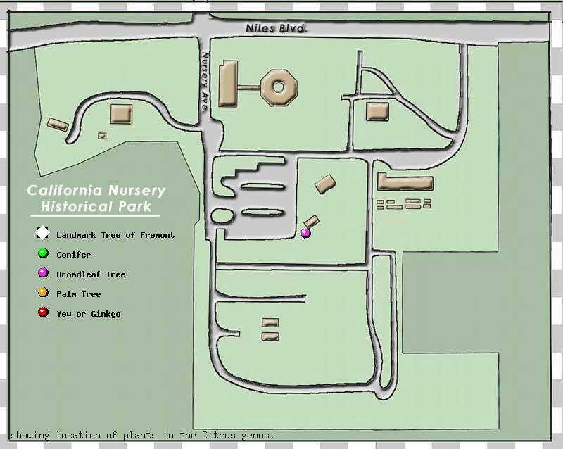 California Nursery Company tree inventory map