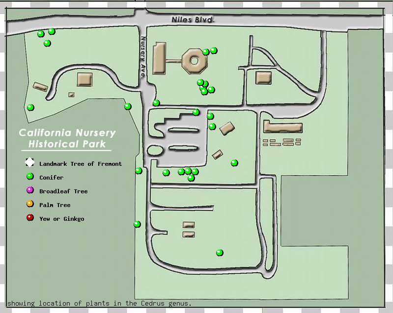 California Nursery Company tree inventory map