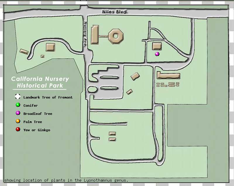 California Nursery Company tree inventory map