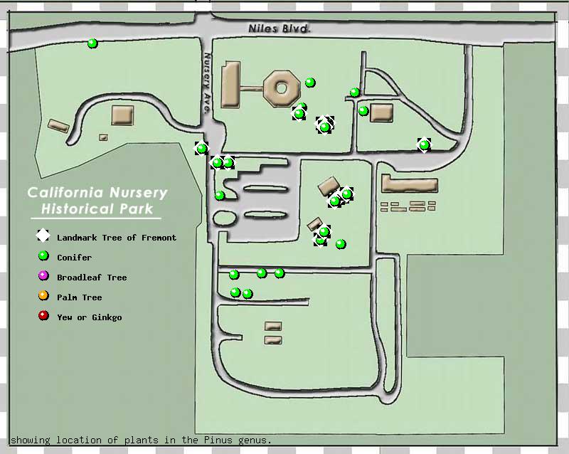 California Nursery Company tree inventory map
